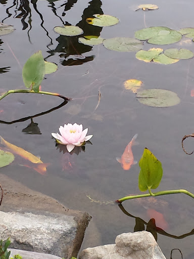 Farm «Four Town Farm», reviews and photos, 90 George St, Seekonk, MA 02771, USA