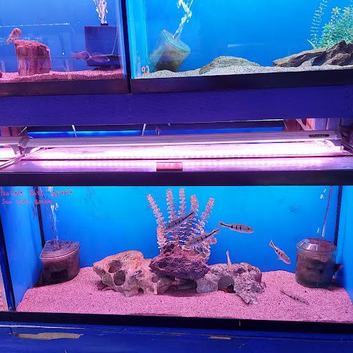 Tropical Fish Store «Tropi-Quatics Pet Center», reviews and photos, 337 S Main St, Lombard, IL 60148, USA