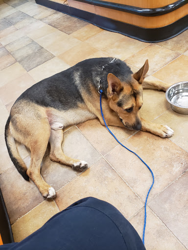 Pet Supply Store «PetSmart», reviews and photos, 2610 Eldridge Pkwy, Houston, TX 77082, USA