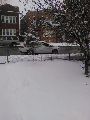 Florist «Athena Flowers», reviews and photos, 6039 W Addison St, Chicago, IL 60634, USA