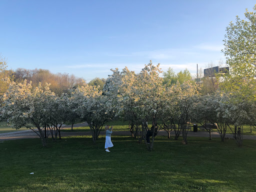 Park «Elmhurst Park», reviews and photos, 57th Ave & Grand avenue, Queens, NY 11373, USA