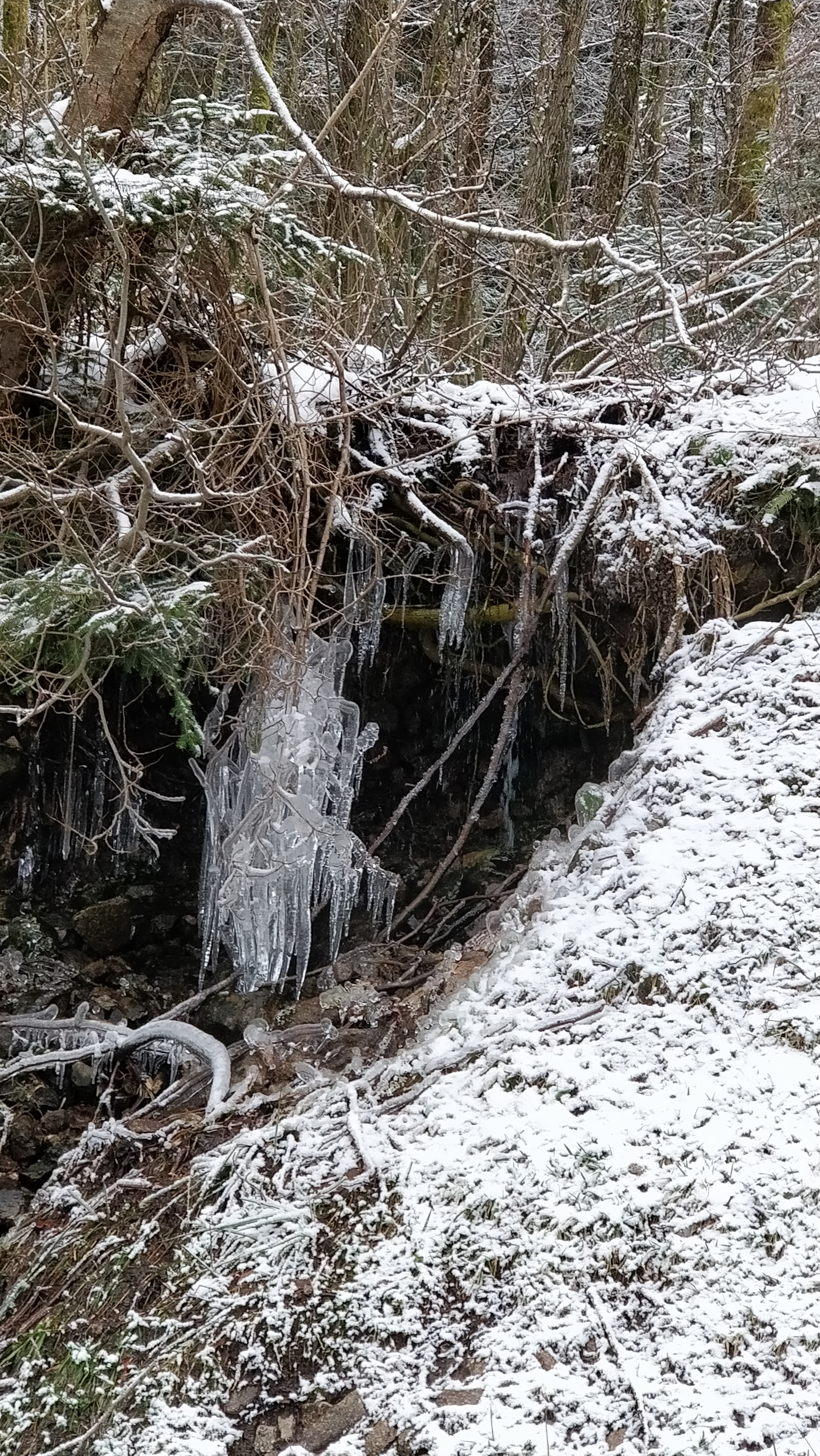 Photo n° 1 de l'avis de Serge.A fait le 24/02/2018 à 21:15