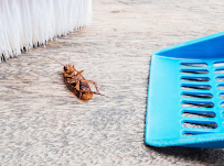 Ecoshield Pest Solutions - Photo 9 - Car repair in Chandler, AZ, Mesa