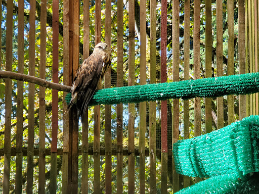 Nature Preserve «Cascades Raptor Center», reviews and photos, 32275 Fox Hollow Rd, Eugene, OR 97405, USA