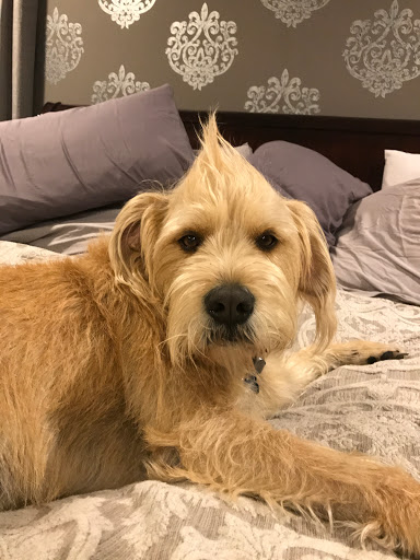 Motorcycle Dealer «Mt. Holly Motorsports», reviews and photos, 2044 US-206, Vincentown, NJ 08088, USA