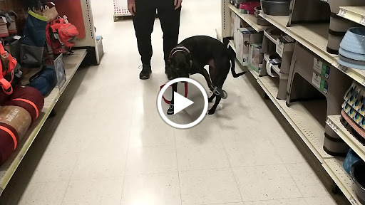 Pet Supply Store «PetSmart», reviews and photos, 1145 W Riverdale Rd, Riverdale, UT 84405, USA