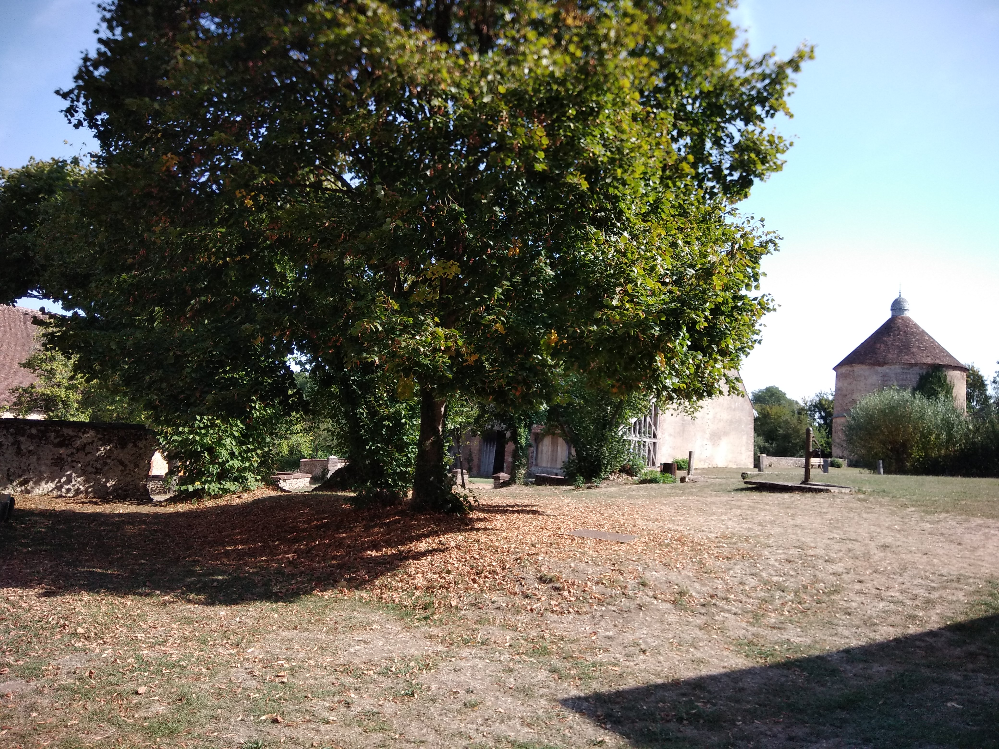 Photo n° 2 de l'avis de Pascale.a fait le 31/08/2022 à 17:03