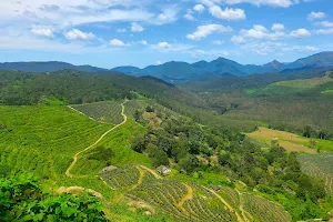 Kodikuthy View Point image