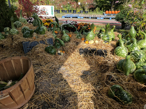 Produce Market «The Bigsby Market», reviews and photos, 1418 Dryden Rd, Freeville, NY 13068, USA