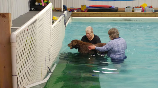 Pet Store «The Dog Dive», reviews and photos, 1613 Riverview Dr, Kalamazoo, MI 49004, USA