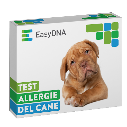 easyDNA IT