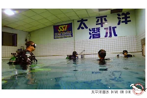 Pacific Diving Center image