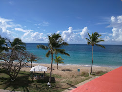 Limetree beach'in fotoğrafı ve güzel manzarası