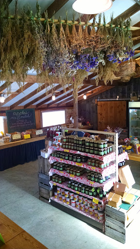 Farm «Manoff Market Gardens», reviews and photos, 3157 Comfort Rd, Solebury, PA 18963, USA