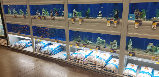 Pet Supply Store «PetSmart», reviews and photos, 3736 SW Archer Rd, Gainesville, FL 32608, USA