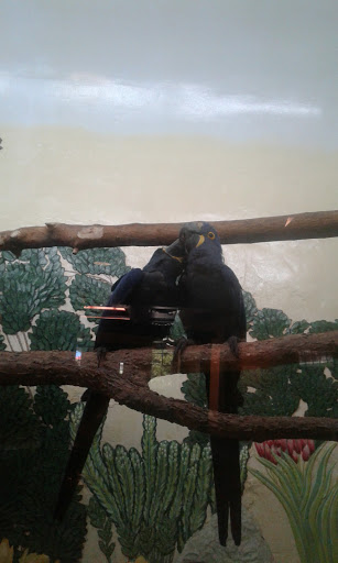 Golf Course «Elmwood Golf Course», reviews and photos, 3900 Thatcher Ave, Pueblo, CO 81005, USA