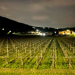 Photo n°1 de l'avis de Piero.r fait le 05/05/2021 à 19:38 sur le  Ristorante Locanda Marcellise à San Martino Buon Albergo