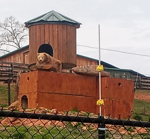 Zoo «Chestatee Wildlife Preserve & Zoo», reviews and photos, 469 Old Dahlonega Hwy, Dahlonega, GA 30533, USA