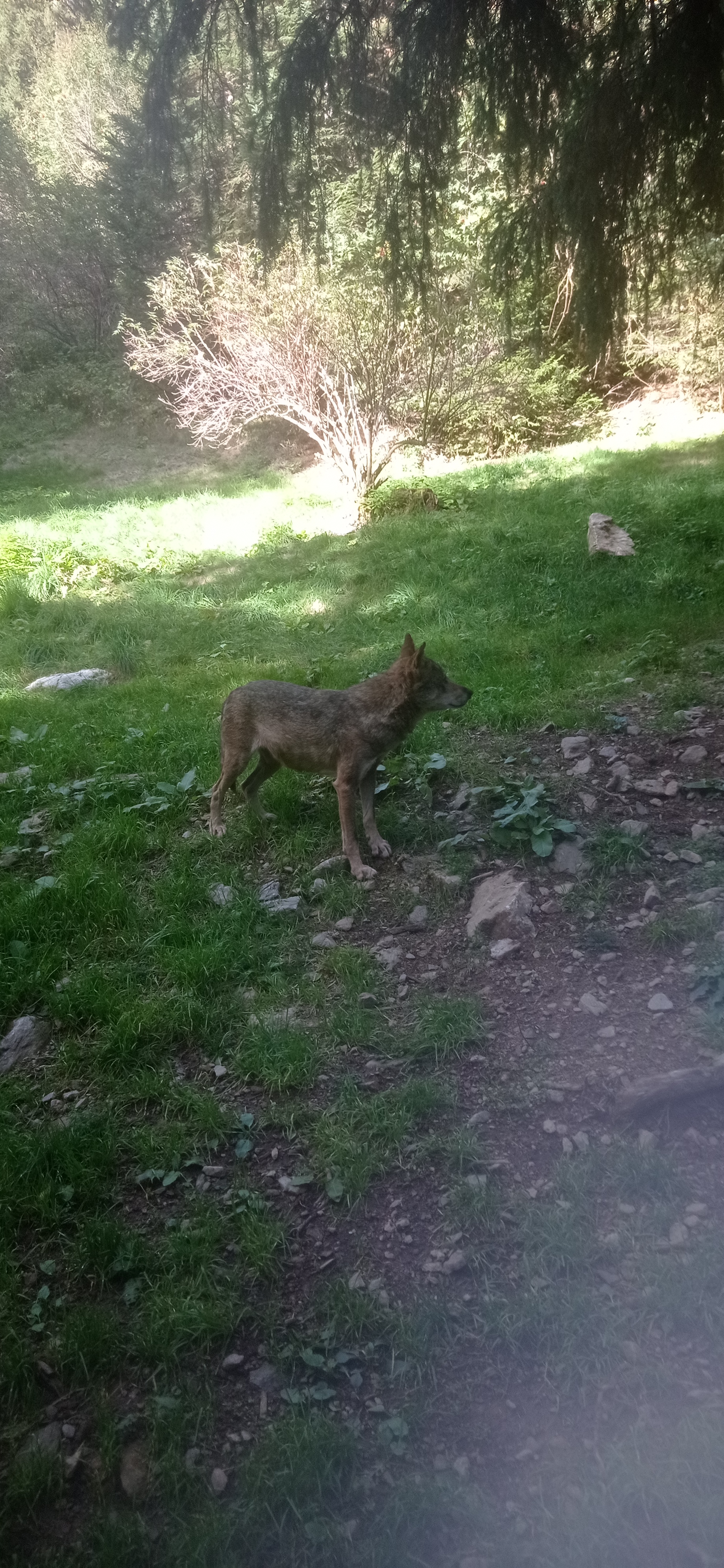 Photo n° 2 de l'avis de Cyril.A fait le 01/10/2022 à 19:11