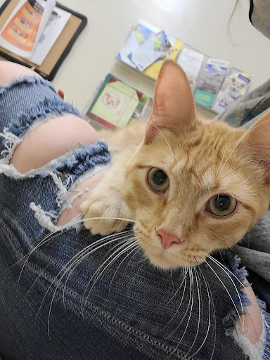 4205 N Campbell Ave, Tucson, AZ 85719, USA