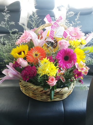 Florista Paula Victoria – Pachuca