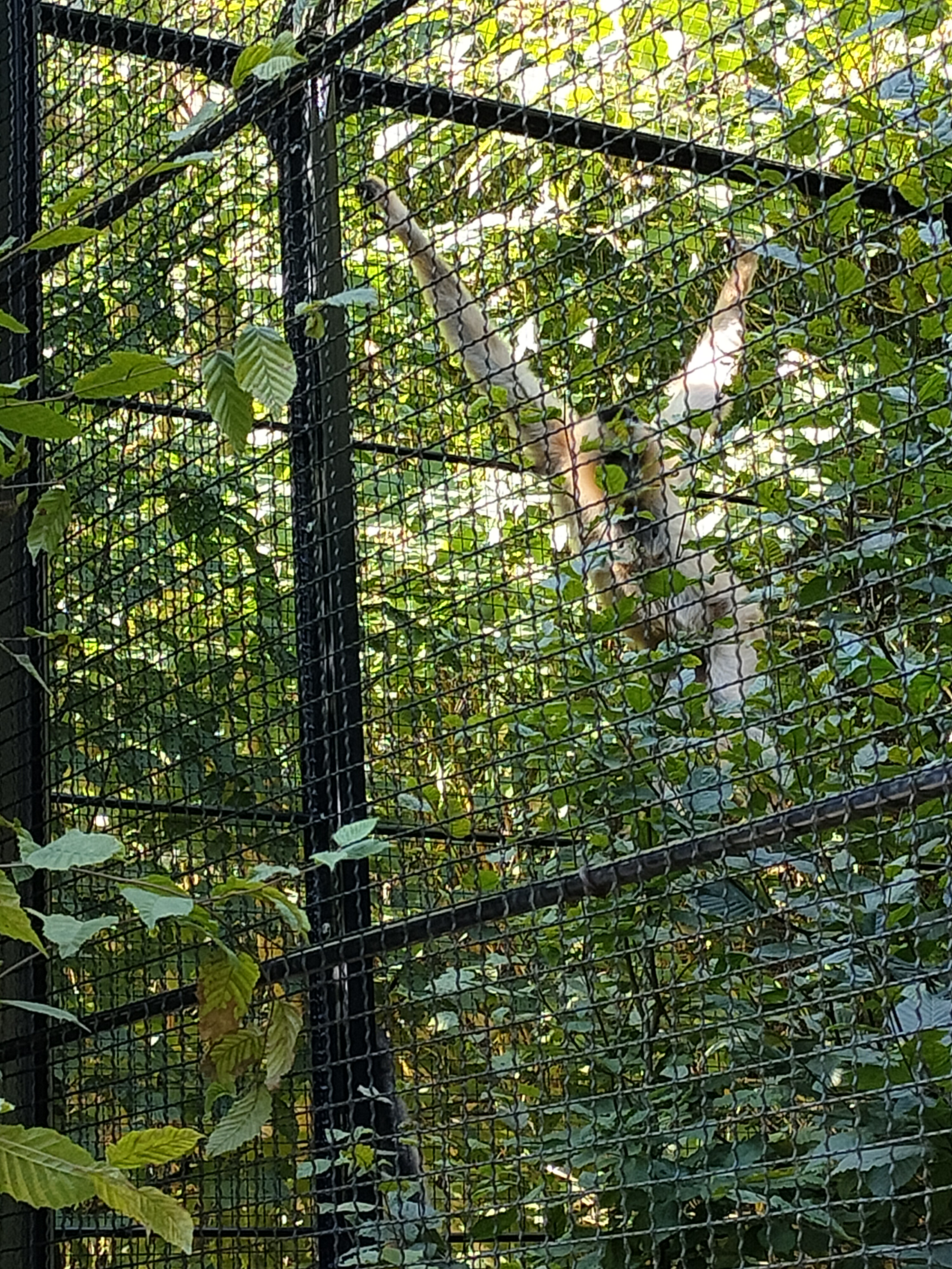 Photo n° 4 de l'avis de Gaelle.u fait le 04/08/2022 à 12:48