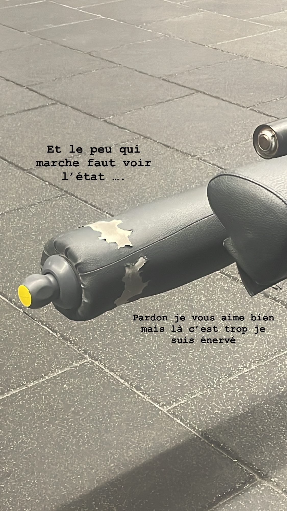Photo n° 2 de l'avis de Sabra. fait le 11/03/2024 à 02:13