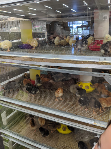 Animal Feed Store «IFA Country Stores», reviews and photos, 1071 Pioneer Rd, Draper, UT 84020, USA