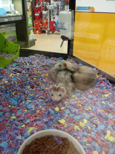 Pet Supply Store «Petco Animal Supplies», reviews and photos, 240 Upland Square Dr, Stowe, PA 19464, USA