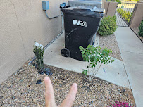 Cardenas Landscaping LLC - Photo 8 - Car repair in , Rio Rancho