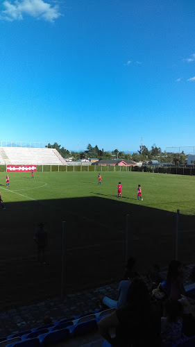 Comentarios y opiniones de Estadio Monumental Arístides Bahamondes