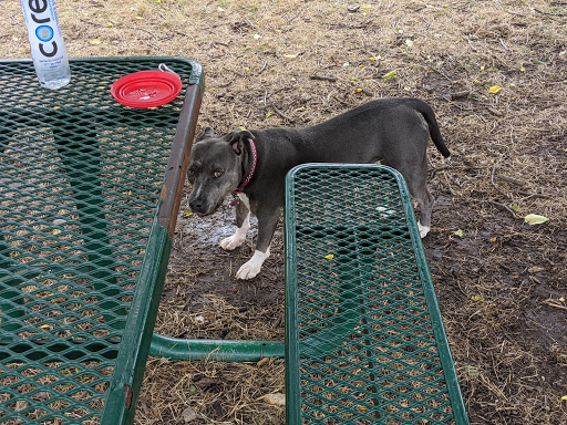 Park «Swift Cantrell Park», reviews and photos, 3140 Old 41 Hwy NW, Kennesaw, GA 30144, USA