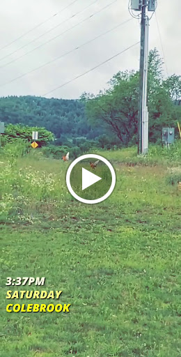 Recreation Center «North Country Community Rec Center», reviews and photos, 33 Rec Center Rd, Colebrook, NH 03576, USA