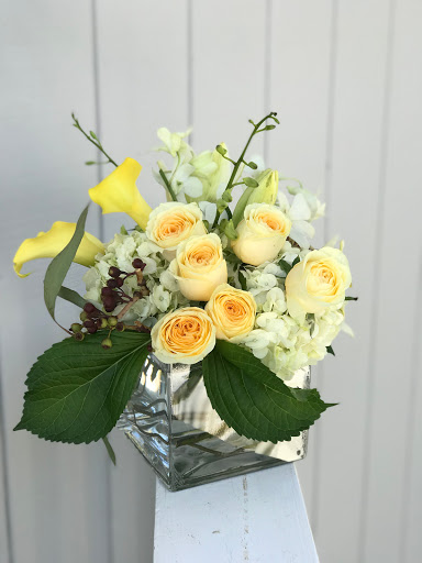 Florist «Frangipani Flowers & Gifts», reviews and photos, 1203 4th St, San Rafael, CA 94901, USA