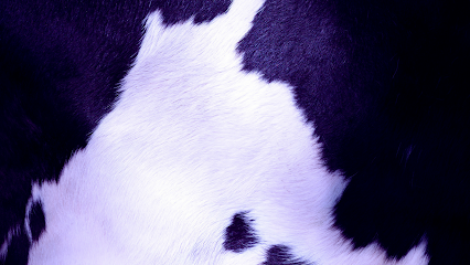 Información y opiniones sobre La Vaca Púrpura · Comunicación y Marketing de Aranguren