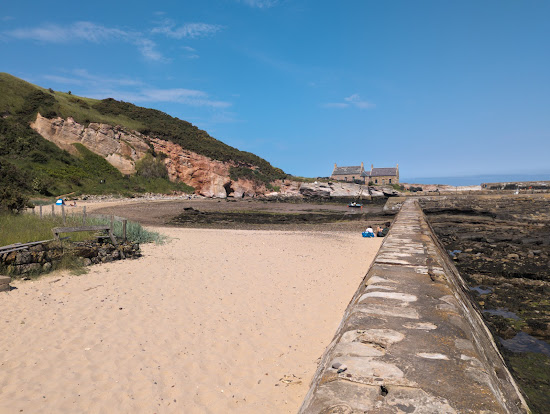 Cove Harbour