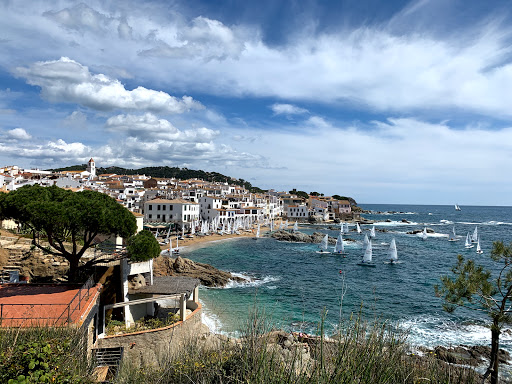 Camping & Bungalows Moby Dick