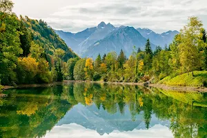 Auwaldsee image