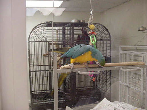 Pet Store «Adventure Birds of Bon Aqua», reviews and photos, 9600 TN-46, Bon Aqua, TN 37025, USA