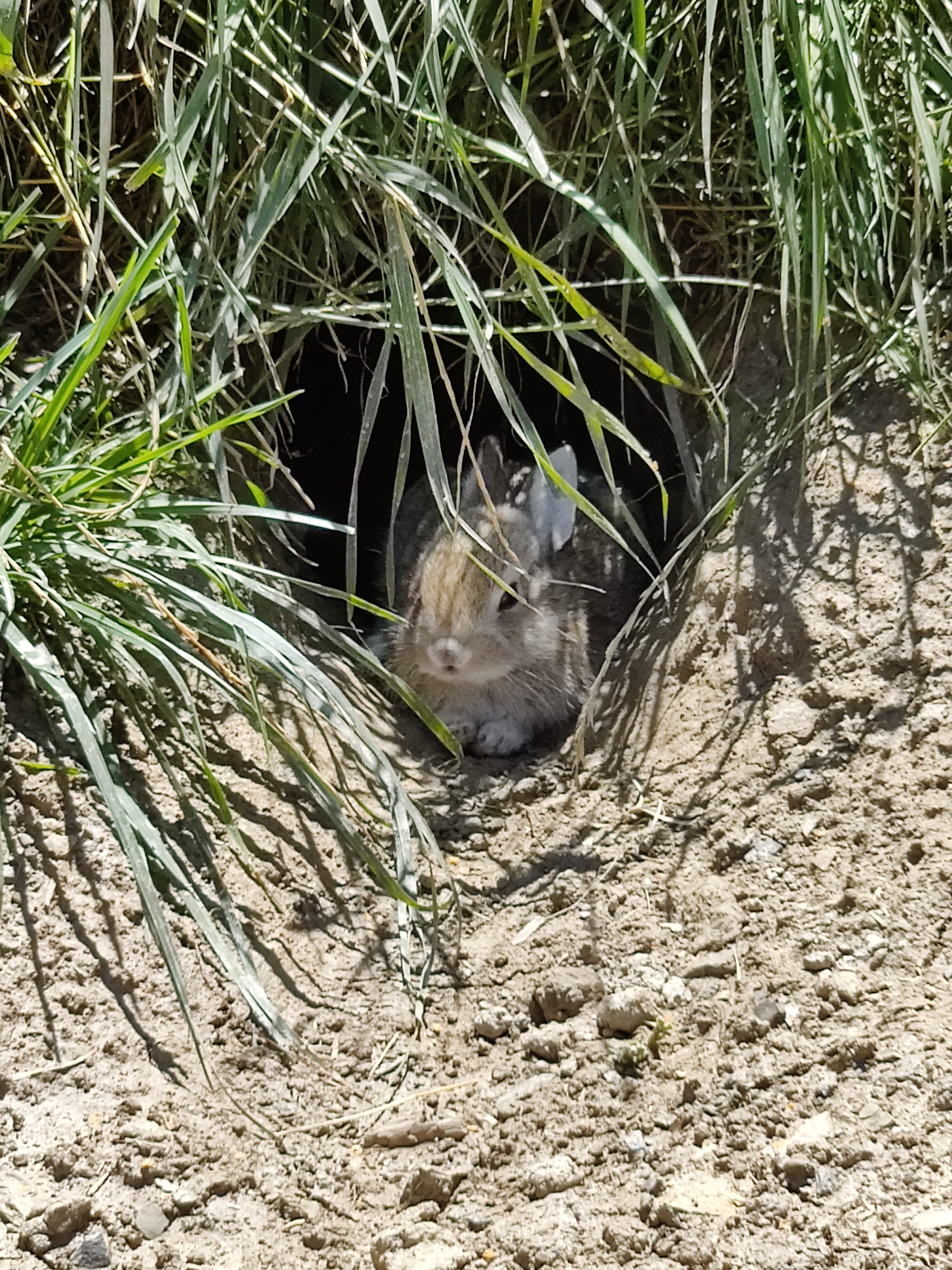 Photo n° 7 de l'avis de Julien.o fait le 14/08/2020 à 12:49