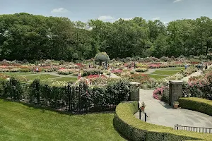 Peggy Rockefeller Rose Garden, NYBG image
