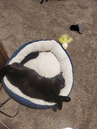 Help From My Friends