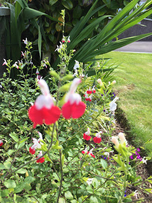 Reiki Cork Ireland - Reiki Cork Ireland