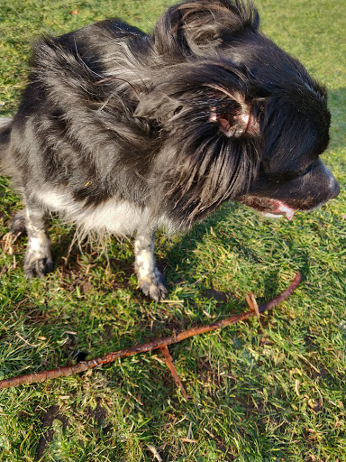 Park «Maple Leaf Reservoir Park», reviews and photos, 1020 NE 82nd St, Seattle, WA 98115, USA