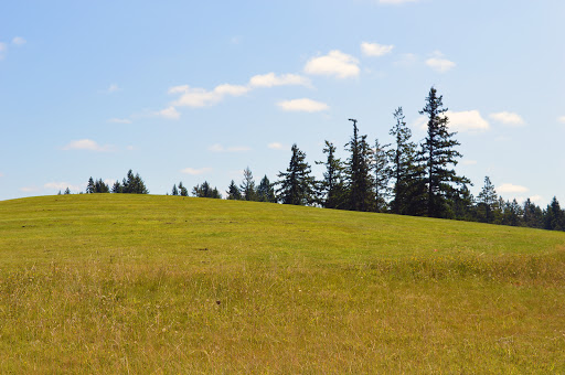 Golf Course «The Home Course», reviews and photos, Golf House Rd, DuPont, WA 98327, USA