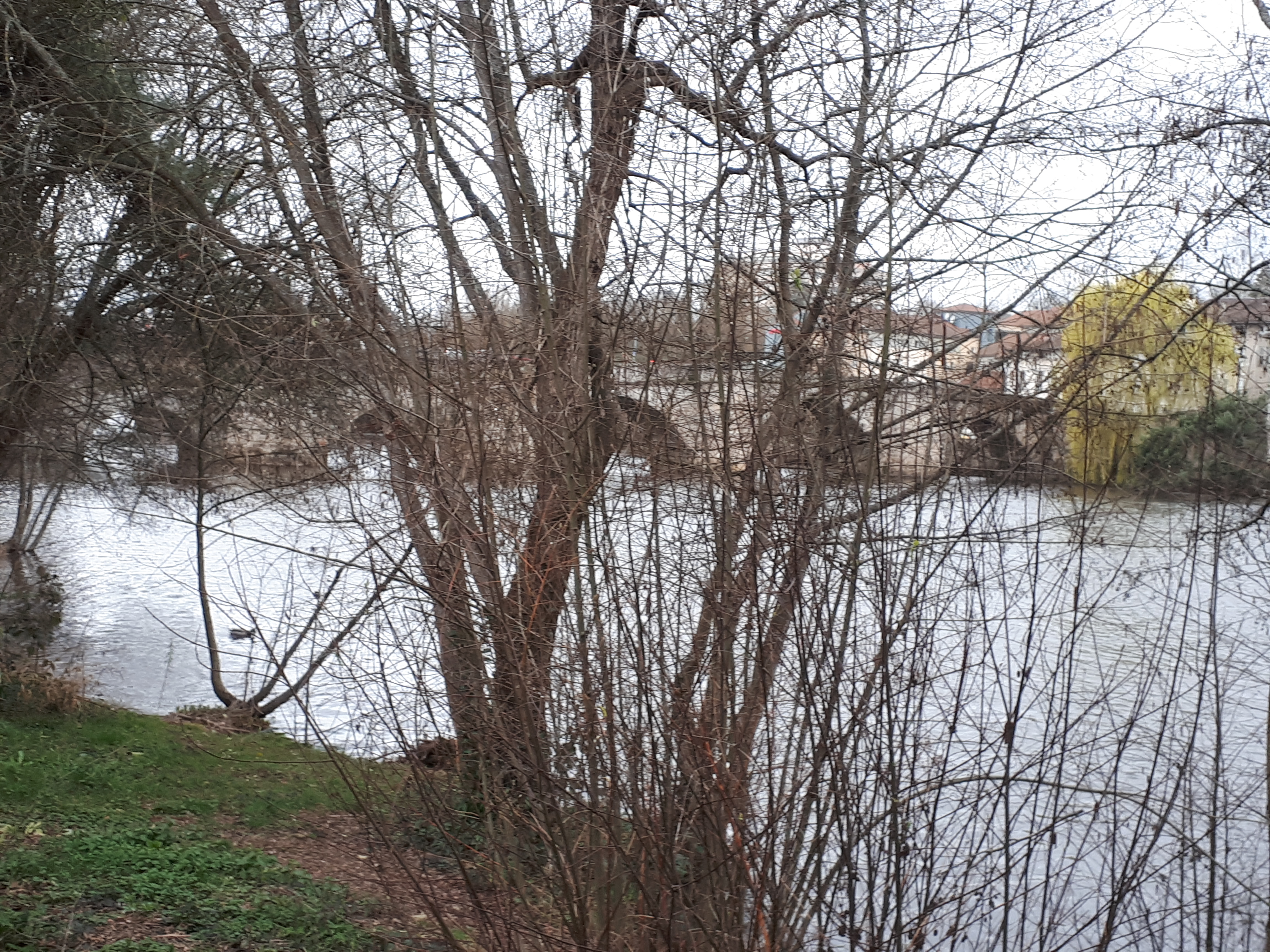 Photo n° 2 de l'avis de françoise.t fait le 24/04/2019 à 14:54