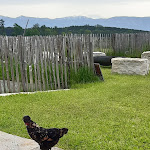 Photo n°2 de l'avis de Martha.� fait le 26/05/2021 à 14:41 sur le  Cafe Hiesig à Vogtareuth