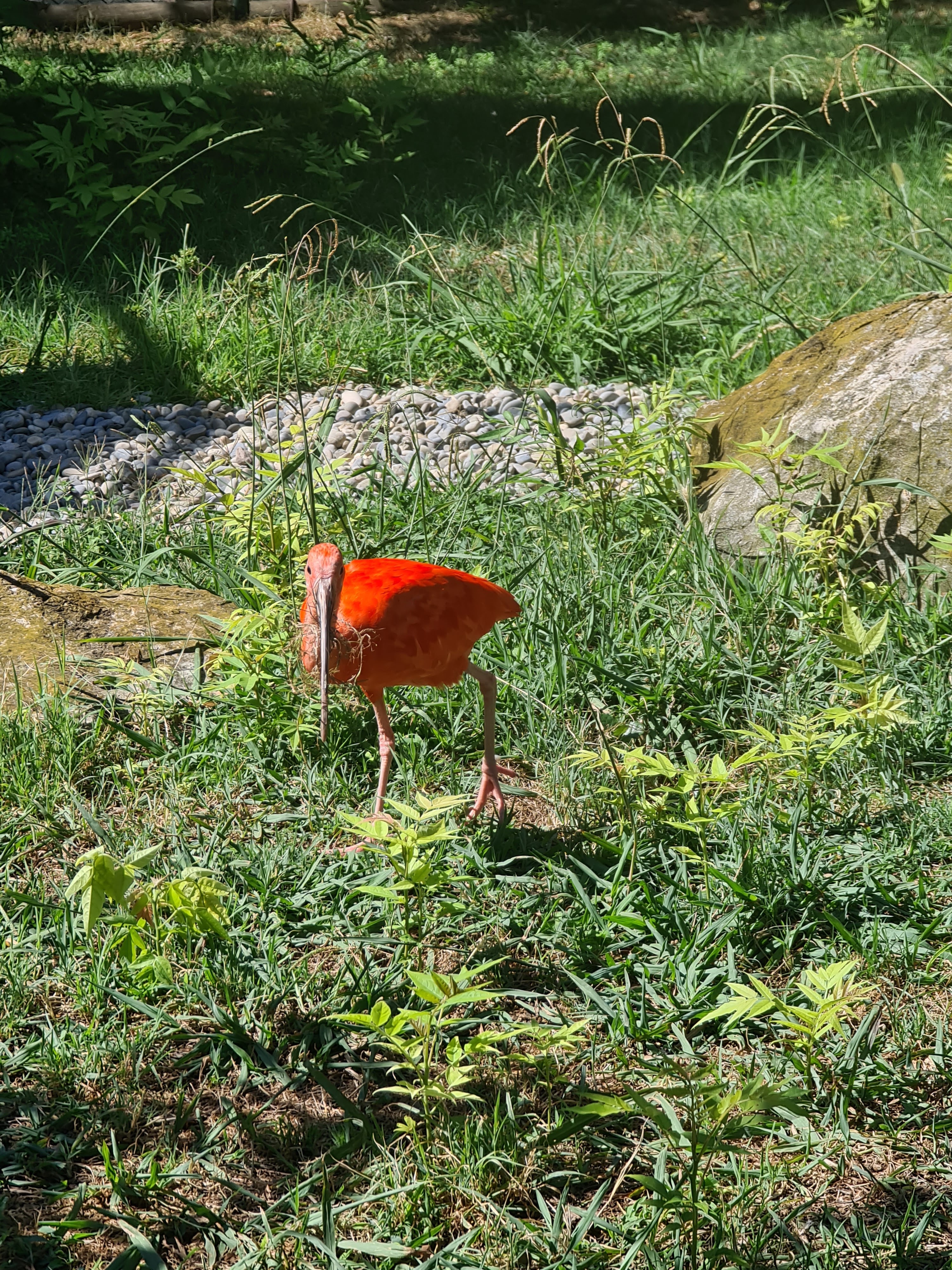 Photo n° 15 de l'avis de Thierry.o fait le 31/07/2023 à 16:57