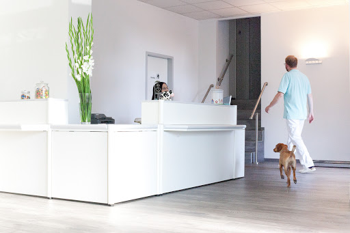 Veterinarian Dr. Christoph Szober unter Munich, Bayern
