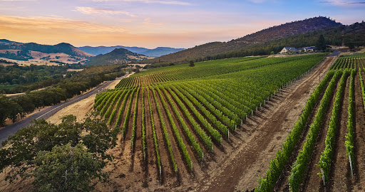 Winery «Irvine Vineyards», reviews and photos, 1614 Emigrant Creek Rd, Ashland, OR 97520, USA